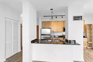 210 S Desplaines St, Chicago, IL 60661 - Photo 6
