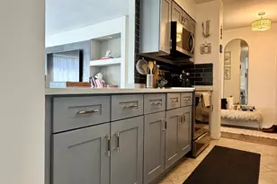1143 S Plymouth Ct, Chicago, IL 60605 - Photo 8
