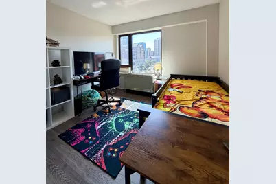1143 S Plymouth Court #501, Chicago, IL 60605 - Photo 12
