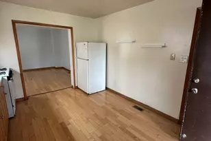 3041 S Lowe Ave, Chicago, IL 60616 - Photo 30