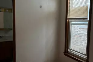 3041 S Lowe Ave, Chicago, IL 60616 - Photo 12