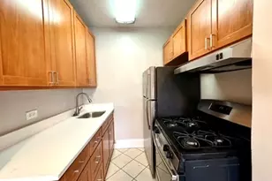 1033 W Loyola Ave, Chicago, IL 60626 - Photo 8