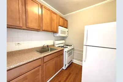 1301 W Argyle Street #306, Chicago, IL 60640 - Photo 8