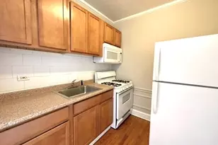 1301 W Argyle St, Chicago, IL 60640 - Photo 8