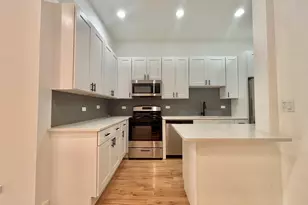 1344 W Ohio St, Chicago, IL 60642 - Photo 4