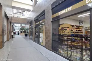 405 N Wabash Ave, Chicago, IL 60611 - Photo 20
