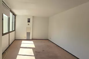 4800 S Lake Park Ave, Chicago, IL 60615 - Photo 12