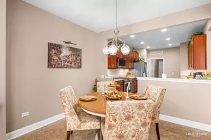 703 Flag Dr, Shorewood, IL 60404 - Photo 10