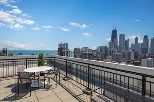 88 W Schiller St, Chicago, IL 60610 - Photo 20