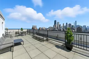 88 W Schiller St, Chicago, IL 60610 - Photo 22