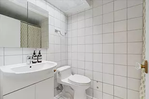 1 E Schiller St, Chicago, IL 60610 - Photo 20