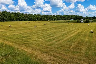 7507 Krutsinger Rd, Kinmundy, IL 62854 - Photo 12
