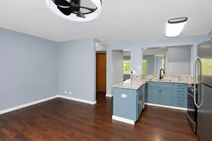 6262 Nugget Cir, Hanover Park, IL 60133 - Photo 12