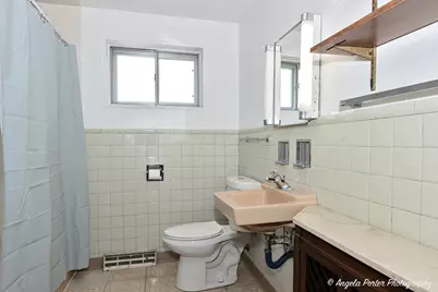 43 E Judith Ann Drive, Mount Prospect, IL 60056 - Photo 20