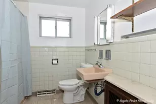 43 E Judith Ann Dr, Mount Prospect, IL 60056 - Photo 20