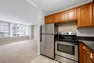 233 E Erie Street #1110, Chicago, IL 60611 - Photo 8