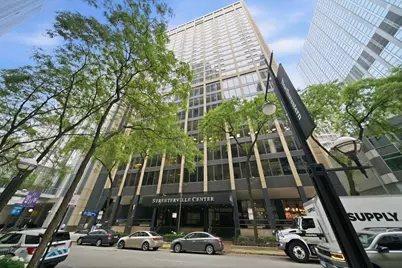 233 E Erie Street #1110, Chicago, IL 60611 - Photo 2
