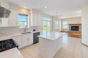 247 Alyssum Ct, Romeoville, IL 60446 - Photo 4