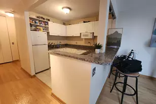 3660 N Lake Shore Dr, Chicago, IL 60613 - Photo 4