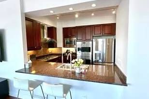 1201 S Prairie Ave, Chicago, IL 60605 - Photo 8