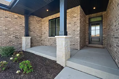 11167 Lizmore Lane, Orland Park, IL 60467 - Photo 4
