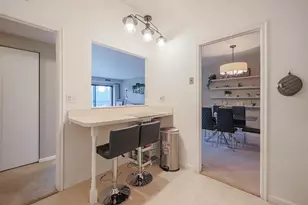 1105 N Mill St, Naperville, IL 60563 - Photo 12