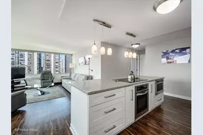 1255 N Sandburg Terrace #1411, Chicago, IL 60610 - Photo 10