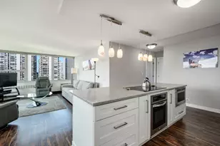 1255 N Sandburg Terrace, Chicago, IL 60610 - Photo 10