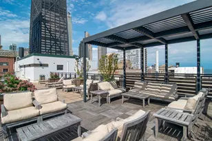 850 N Dewitt Pl, Chicago, IL 60611 - Photo 18