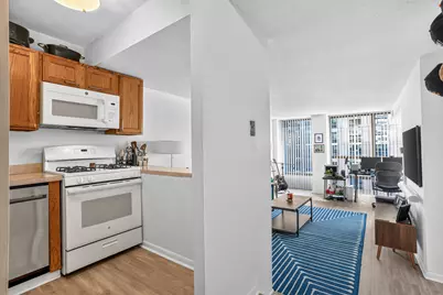 230 E Ontario Street #1304, Chicago, IL 60611 - Photo 8