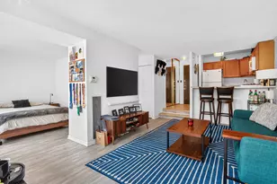 230 E Ontario St, Chicago, IL 60611 - Photo 6