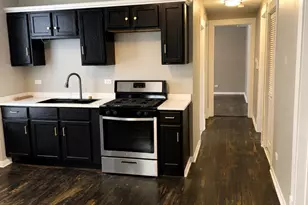 8153 S South Shore Dr, Chicago, IL 60617 - Photo 6