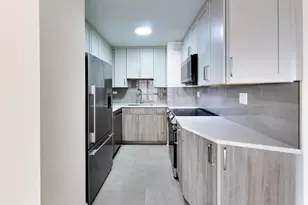 21 W Goethe St, Chicago, IL 60610 - Photo 16