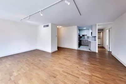 21 W Goethe Street #10L, Chicago, IL 60610 - Photo 10