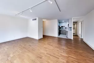 21 W Goethe St, Chicago, IL 60610 - Photo 10