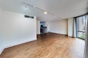 21 W Goethe St, Chicago, IL 60610 - Photo 12