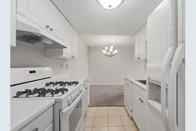 512 Redondo Drive #509, Downers Grove, IL 60516 - Photo 8