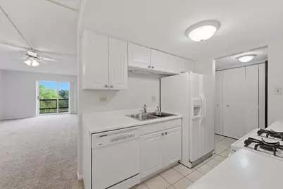 512 Redondo Drive #509, Downers Grove, IL 60516 - Photo 10
