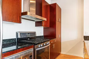 1040 W Adams St, Chicago, IL 60607 - Photo 10