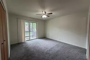 241 W Main St, Lake Zurich, IL 60047 - Photo 10