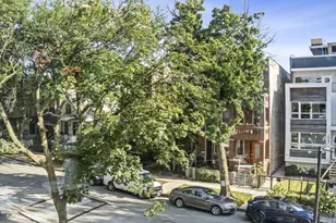 2046 W Rice St, Chicago, IL 60622 - Photo 4