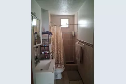 10342 S Avenue N Avenue, Chicago, IL 60617 - Photo 10