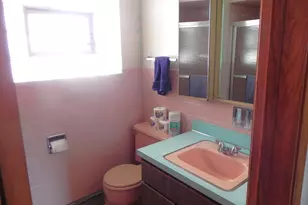 5400 N Mulligan Ave, Chicago, IL 60630 - Photo 14