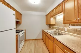 8231 Archer Ave, Willow Springs, IL 60480 - Photo 10