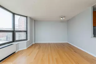 899 S Plymouth Ct, Chicago, IL 60605 - Photo 4