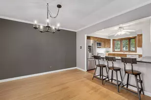 113 N Oak St, Elmhurst, IL 60126 - Photo 10