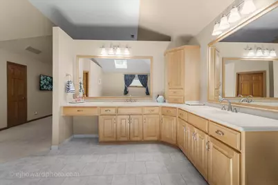 999 S Butternut Circle, Frankfort, IL 60423 - Photo 24