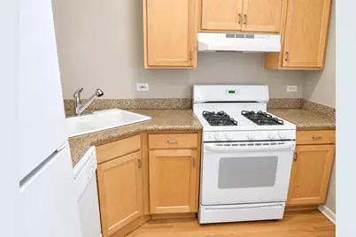 2158 W Erie Street #1, Chicago, IL 60612 - Photo 8