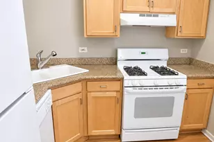2158 W Erie St, Chicago, IL 60612 - Photo 8