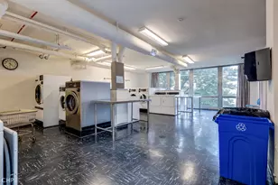 880 N Lake Shore Dr, Chicago, IL 60611 - Photo 36